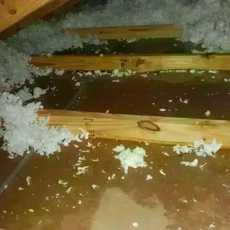 Attic Water Damage in Collinsville, VA